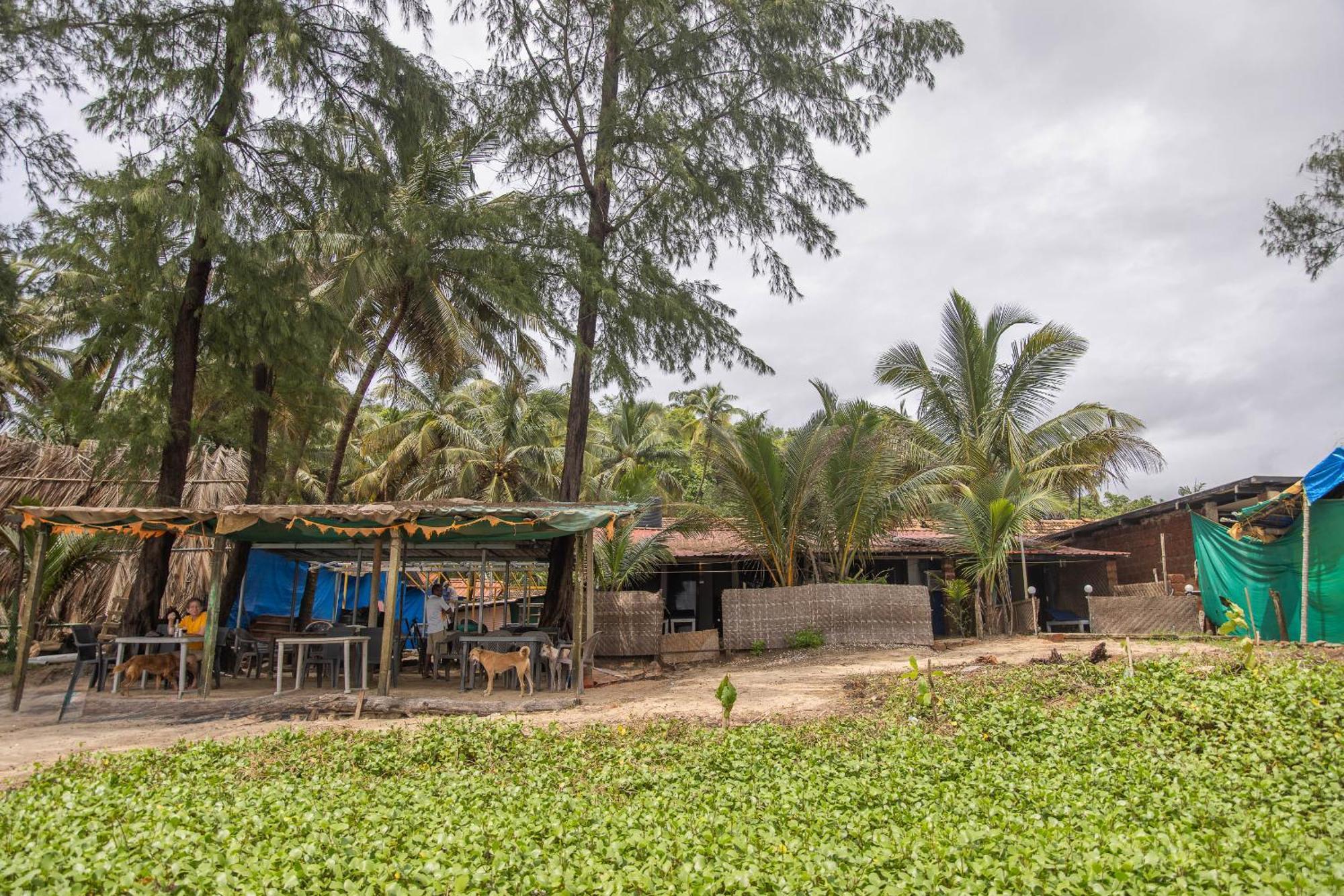 Talpona Beach Studios Canacona Luaran gambar
